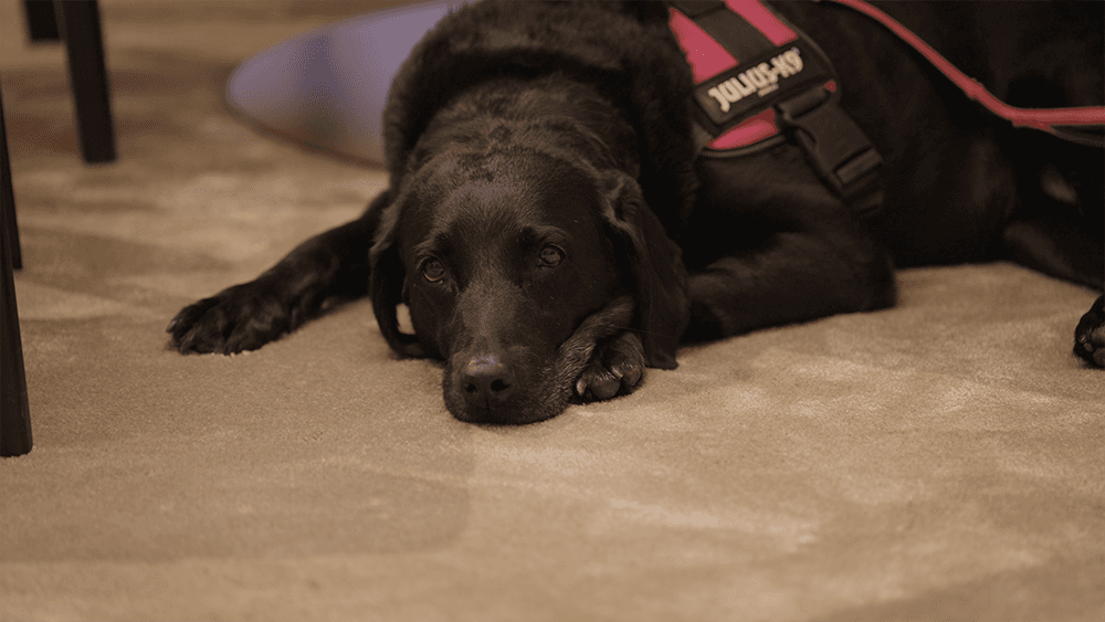 The Fidelis Partnership