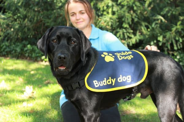 Guide Dogs