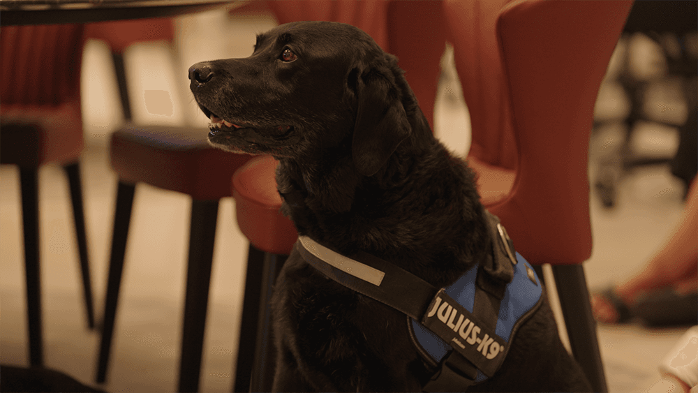 The Fidelis Partnership