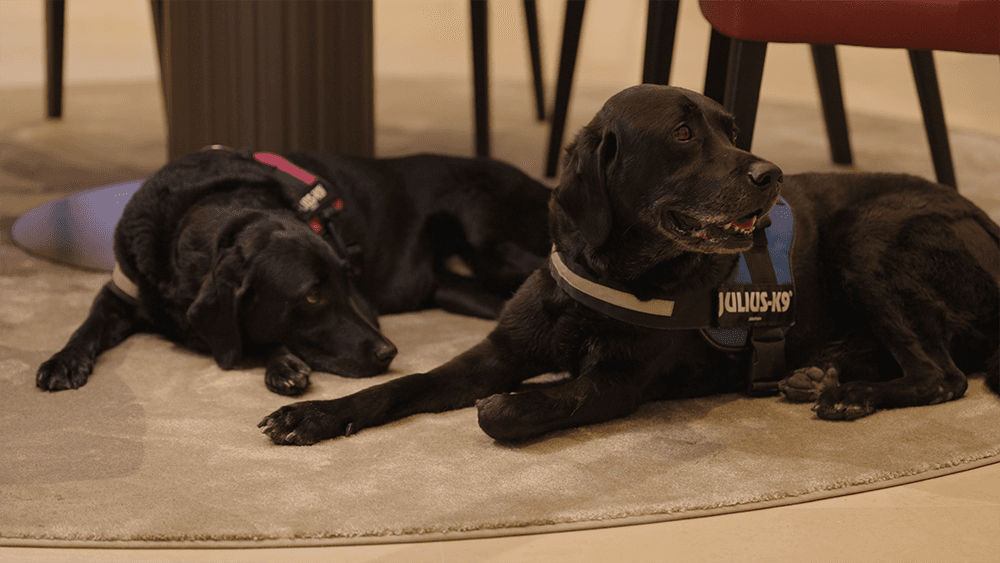 The Fidelis Partnership